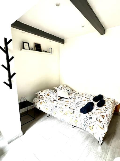 Le Douillet De 20m2 Petit Cocon En Plein Centre De La Apartment Avignon